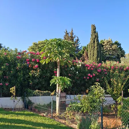 فيلة Heading South Private Oasis